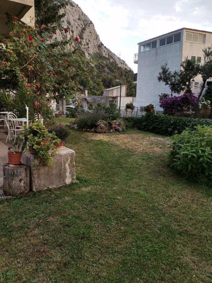 Apartments Sretna Gradac  Zewnętrze zdjęcie